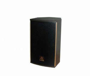 Loa Sân Khấu W-10